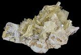 Yellow Barite Crystal Cluster - Peru #64138-3